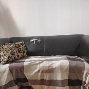 tvåsitsiga soffa skänkes