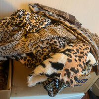 kvinno kländer i leopardmönster