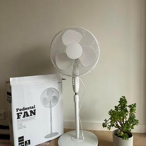 Fan / golvfläkt