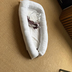 Babynest, 3 kräkisar och en glaskupa