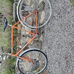 Cykel